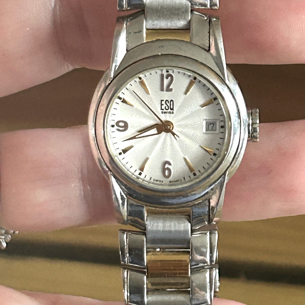 Esq Swiss Watch